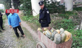 吃瓜最新事件爆料沂水,揭秘吃瓜事件背后的真相