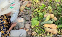 新昌吃瓜最新事件爆料视频